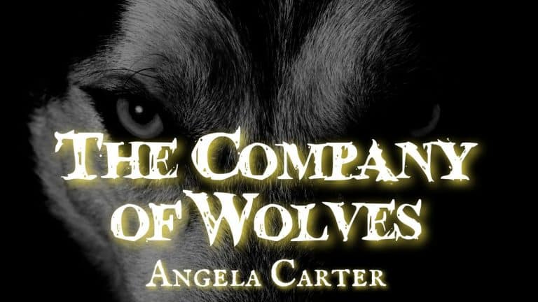 The Company of Wolves Analysis